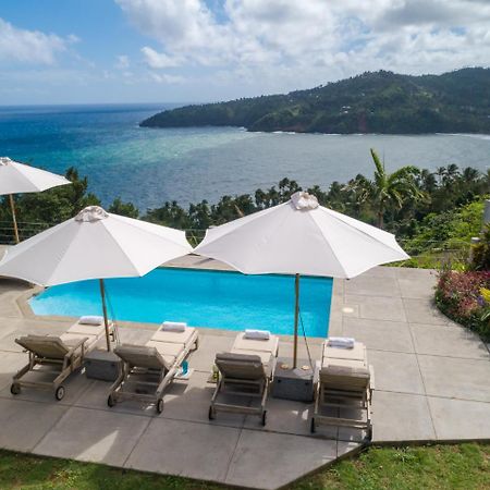 Pagua Bay House - Oceanfront Cabana'S Marigot エクステリア 写真