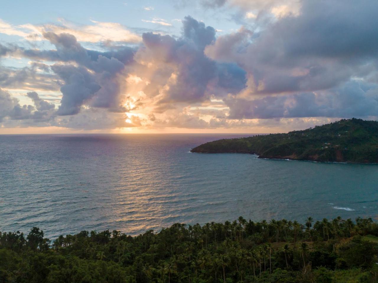 Pagua Bay House - Oceanfront Cabana'S Marigot エクステリア 写真