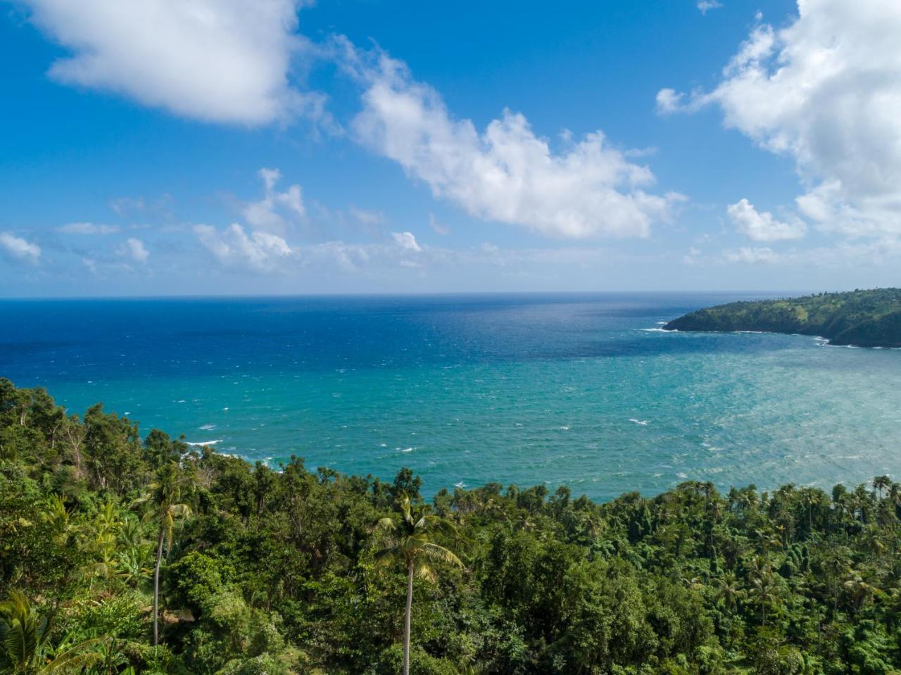 Pagua Bay House - Oceanfront Cabana'S Marigot エクステリア 写真